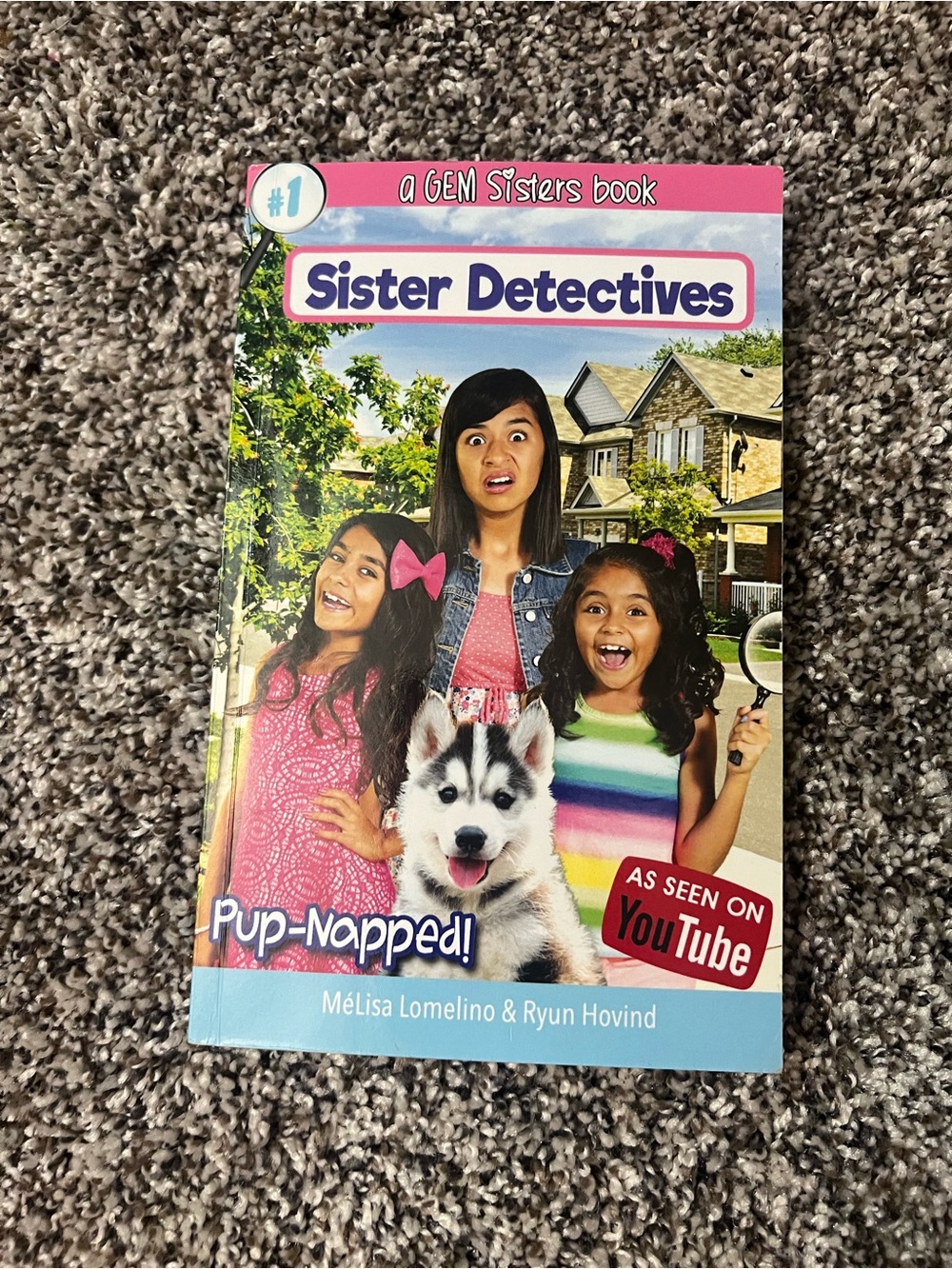 Sister Detectives: Pup-napped! — Colorful Kids Mystery Book (Pink, Blue, White)